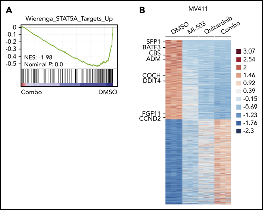 Downregulated genes after combined menin-MLL and FLT3 inhibition are enriched for STAT5A target genes. (A) Gene set enrichment analysis of gene expression changes in MV411 cells treated with combined MI-503 (2.5 µM; 3 days) and quizartinib (3 nM; 24 hours) compared with STAT5A targets. (B) Heatmap of differentially expressed genes (log2 change >1 and < −1, and adjusted P < .05) in MV411 cells after single and combined treatment with MI-503 (2.5 µM, 3 days) and quizartinib (3 nM, 24 hours). Target genes of STAT5A are indicated.