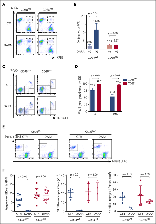 Resistance of CD38KO NK cells to DARA-induced fratricide. (A) Representative FACS analyses of the conjugation assay. (B) Summarized data of conjugation assays are shown (n = 3; mean ± SD). (C) Representative FACS analyses of the fratricide assay. (D) Viability of CD38WT and CD38KO NK cells treated with DARA compared with that of control (CTR) samples (n = 3; mean ± SD). (E) Representative FACS analyses of PB of NSG mice 7 days after treatment with DARA or saline. (F) Summarized data of NK cell persistence in NSG mice during treatment. The frequency of human NK cells in PB at day 7 and their absolute number in spleen and BM at day 9 are shown (n = 5; mean ± SD).