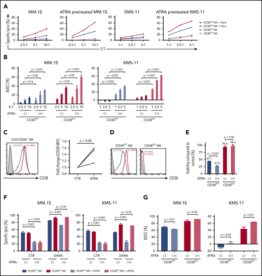Inhibitory effects of ATRA on DARA-mediated NK cell cytotoxicity. (A-B) Cytotoxicity and DARA-mediated ADCC activity of paired CD38WT and CD38KO NK cells against myeloma cell lines pretreated with 50 nM ATRA for 48 hours (mean ± SD). (C) Left panel shows representative FACS analyses data for CD38 expression on NK cells (CD3–CD56+) from patients during ATRA treatment or no therapy. Frozen PB mononuclear cells were thawed and analyzed at once. Right panel shows fold increase of MFI (CD38) of NK cells during ATRA therapy compared with no therapy for 3 different patients. (D) Representative FACS analyses data of CD38 expression on CD38WT and CD38KO NK cells 48 hours after incubation with 50 nM ATRA or solvent control. Control and ATRA-treated samples are shown with steel blue and red lines, respectively. Unstained controls are depicted with filled histograms. (E) Viability of CD38WT and CD38KO NK cells treated with DARA for 48 hours in the presence of 50 nM ATRA or solvent control compared with that of control samples (mean ± SD). (F-G) Cytotoxicity and DARA-mediated ADCC activity of paired CD38WT and CD38KO NK cells against myeloma cell lines in a 48-hour cytotoxicity assay in the presence of 50 nM ATRA or solvent control. E:T ratio is 0.25:1 for MM.1S and 0.5:1 for KMS-11 (mean ± SD).