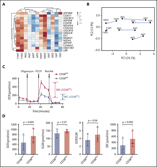 Favorable metabolic reprogramming of CD38KO NK cells. (A) Heat map of DEGs of significantly altered pathways (cholesterol biosynthesis and OXPHOS) as determined by IPA, based on normalized RNA-seq data of paired CD38WT and CD38KO NK cells (n = 6). (B) Principle components analysis (PCA) of DEGs, showing consistent effect of CD38 deletion for each donor despite wide interdonor variability. (C) Summarized data of metabolic analysis of paired CD38WT and CD38KO NK cells (n = 3; mean ± SD). (D) Graphical analysis of basal OCR, ECAR, OCR/ECAR, and spare respiratory capacity (SRC) derived from (C). All experiments were achieved using quintuplicate samples. FCCP, carbonyl cyanide-4-(trifluoromethoxy)phenylhydrazone; ROT/AA, rotenone and antimycin A.