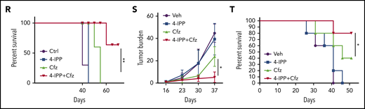 MIF inhibitors sensitize human MM cells to PIs in vitro and in vivo. (A) Cell viability of human MM cell lines pulsed with DMSO or 80 nM Cfz for 1 hour and treated without or with 10 μM 4-IPP (4-IPP+Cfz) for 48 hours, normalized with DMSO-treated group. (B) Summarized results of apoptosis of human MM cell lines at 24 hours after treatment with DMSO, 4-IPP, 10 μM ISO-1, Cfz, 4-IPP+Cfz, or ISO-1+Cfz. (C) Summarized results of apoptotic rates in KMS-11 or KMS-11/Cfz MM cells at 24 hours after treatment with DMSO, 4-IPP, and Cfz at the indicated concentrations, or 4-IPP+Cfz. Flow cytometry histogram (D) and summarized results (E) of apoptotic rates in primary MM cells (n = 6) treated with DMSO, 4-IPP, Cfz, or 4-IPP+Cfz for 24 hours. Mitochondrial respiration (OCR) (F) and summarized results of basal OCR, maximum OCR, spare OCR (G), or ATP production OCR (H) in ARP-1 MM cells treated with DMSO, 4-IPP, Cfz, or 4-IPP+Cfz for 16 hours. (I) Misfolded SOD1 expression in ARP-1 MM cells treated with DMSO, 4-IPP, Cfz, or 4-IPP+Cfz for 16 hours. (J) NSG mice were injected subcutaneously (s.c.) with 2 × 106 CTR-KO or MIF-KO ARP-1 MM cells. At day 7 after tumor inoculation, vehicle (Veh) or 3 mg/kg Cfz were IV injected, 2 consecutive days in a week and repeated for 3 weeks, into MM-bearing mice (n = 5 for each group). At day 8, MM-bearing mice were intraperitoneally (IP) injected with L 012 sodium salt and detected in vivo for ROS signal by bioluminescent imaging (K,L). (M) Tumor volume was calculated from caliper measurements every 3 to 4 days. (N) Survival curves of CTR-KO or MIF-KO MM-bearing mice treated with Veh or Cfz. (O,P) NSG mice were injected s.c. with 2 × 106 ARP-1 MM cells. At day 8 after tumor inoculation, Veh or 1 mg/kg Cfz was IV injected, 2 consecutive days weekly, into MM-bearing mice. At day 28 when the size of some tumors enlarged to 10 mm, MM-bearing mice received treatment with a high dose of Cfz (3 mg/kg for 2 consecutive days weekly; n = 6) or 4-IPP (0.5 mg per mouse for every 3 days; n = 7) alone, or their combinations (n = 6) until the end of the experiment. Tumor volume (O) and survival curves (P) were calculated. (Q-T) NSG mice were injected IV with 2 × 106 MM.1S or ARP-1 MM cells. At day 14 after tumor inoculation, Veh, 4-IPP, Cfz, or 4-IPP+Cfz was injected into MM-bearing mice (n = 5 per group). Blood samples were collected weekly starting at day 16. Tumor burden (Q,S), analyzed by using enzyme-linked immunosorbent assay measuring human immunoglobulin light chain in mouse plasma which was normalized to control, and survival (R,T) in MM.1S or ARP-1 MM-bearing mice were calculated. The Student t test was used to compare 2 samples. Tumor burden was analyzed by one-way analysis of variance with Tukey’s post hoc test at each time point. The survival plots in panels N, P, R, and T show Kaplan-Meier estimates of survival and comparisons using the log-rank test.*P < .05; **P < .01; ***P < .001. n.s., not significant.