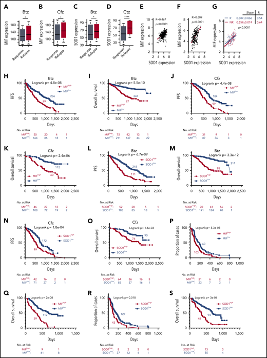 Correlation of MIF and SOD1 expression in purified MM cells with patient outcomes. Gene-profiling data from the MMRF CoMMpass study were analyzed. Box plot showing the relationship between MIF expression and disease status for patients treated with PIs or their combination regimens (panel A for Btz and panel B for Cfz), and the band in the box indicates the median. SOD1 expression in patients with different disease status, sustained response (Response) vs Relapse treated with Btz (242 response and 177 relapsed patients) (C) or Cfz (141 response and 78 relapsed patients) (D). The Wilcoxon test was used for calculating P value. (E-G) Dot plots showing the coexpression patterns of SOD1 and MIF by analyzing the microarray data from Zhan et al65 (E) and Mulligan et al64 (F), or nonresponder (NR) and responder (R) patient data from Mulligan et al (G). Correlations were analyzed by linear regression with R calculated. PFS (H,J) and OS (I,K) curves were evaluated in MM patients treated with PIs (panels H and I for Btz; panels J and K for Cfz) or their combination regimens based on high (red, MIFhigh) or low MIF (blue, MIFlow) expression in MM cells. PFS (L,N) and OS (M,O) of PI-treated patients with high (red, SOD1high) and low (blue, SOD1low) SOD1 expression in MM cells. Curves were plotted by using Kaplan-Meier analysis, and statistical significance was measured by using the log-rank test. Single-agent Btz data were from combined gene-expression sets of the phase 2 and 3 trials in relapsed and/or refractory MM. Time to progression (proportion of progress-free cases) (P,R) and OS (Q,S) after Btz treatment in the combined trial databases were analyzed by using the Kaplan-Meier method based on patients with high (red) or low (blue) MIF (P,Q) or SOD1 expression (R,S) in MM cells. *P < .05; ****P < .0001.