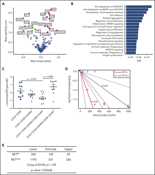 RET is functionally active in CD34+CD38– HSPCs, and cell surface expression enriches for HSC function. (A) Kinase activity alterations between CD34+CD38– HSPCs (green) and CD34+CD38+ HPCs (lilac). (B) Process network enrichment for significantly altered kinases and phosphorylation events from panel A. (C) z-normalized geometric mean fluorescence intensity of cell surface RET within the indicated populations. Significance was tested by using a paired Student t test for individual cord blood donors tested (N = 9). (D) Plot depicting frequencies and confidence interval for REThi (red) and RETlow (blue) CD34+CD38– cell in vivo engraftment at limiting dilution after 12 weeks (N = 3 mice per dose tested). (E) Table of 1/stem cell frequency numerical data calculated from the in vivo limiting dilution analysis presented in panel D, including: estimated stem cell frequency, upper and lower intervals of estimation, χ2 test, and estimated P value.
