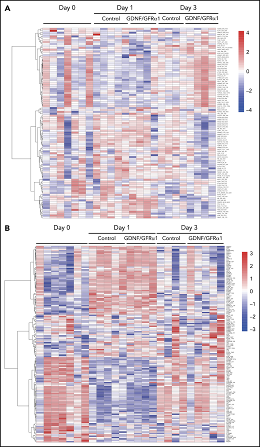 Activation of RET by GDNF/GFRα1 alters kinome dynamics during HSPC outgrowth. Heatmaps depicting serine/threonine (A) and tyrosine (B) containing row z-normalized peptide phosphorylations supervised by day and treatment. Rows are clustered by correlation. (C) Fold change differential phosphorylation of GDNF/GFRα1–treated CD34+CD38– cells compared with control after 1 day of culture. (D) Upstream kinases calculated as responsible for phosphorylations in panel C. (E) Fold change differential phosphorylation of GDNF/GFRα1–treated CD34+CD38– cells compared with control after 3 days of culture. (F) Upstream kinases calculated as responsible for phosphorylations in panel G. Red dots in panels C-F indicate significantly upregulated peptides or kinases; blue dots represent significantly downregulated peptides or kinases in response to GDNF/GFRα1 treatment.