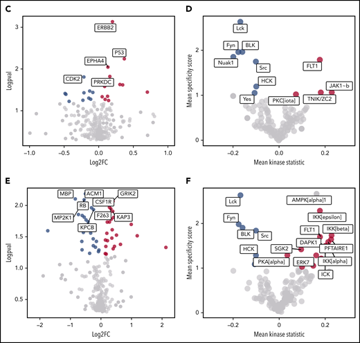 Activation of RET by GDNF/GFRα1 alters kinome dynamics during HSPC outgrowth. Heatmaps depicting serine/threonine (A) and tyrosine (B) containing row z-normalized peptide phosphorylations supervised by day and treatment. Rows are clustered by correlation. (C) Fold change differential phosphorylation of GDNF/GFRα1–treated CD34+CD38– cells compared with control after 1 day of culture. (D) Upstream kinases calculated as responsible for phosphorylations in panel C. (E) Fold change differential phosphorylation of GDNF/GFRα1–treated CD34+CD38– cells compared with control after 3 days of culture. (F) Upstream kinases calculated as responsible for phosphorylations in panel G. Red dots in panels C-F indicate significantly upregulated peptides or kinases; blue dots represent significantly downregulated peptides or kinases in response to GDNF/GFRα1 treatment.
