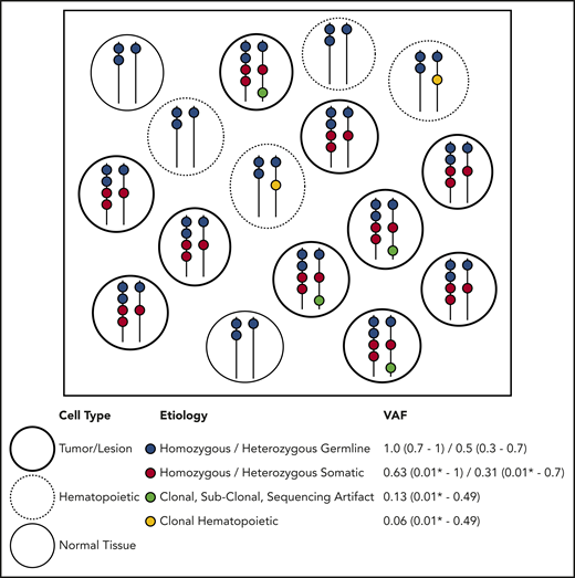 Etiology of DNA alterations in a representative sample of NGS sequencing. The box contains a population of cells (each circle) undergoing bulk NGS. Each color represents a DNA alteration of different etiology. VAF for the representative example is shown with typical ranges observed on clinical NGS panels. This example does not account for CNVs or DNA structural aberrations. *Lower detection limit depends on the depth and platform of NGS.