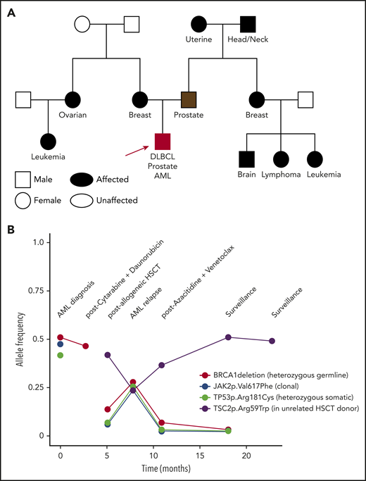 A complex clnical case and VAF of deleterious variants seen over time. A 51-year-old white man had an 8 × 10–cm mass that was determined to be diffuse large B-cell lymphoma (DLBCL). He received 6 cycles of rituximab/cyclophosphamide/doxorubicin/vincristine/prednisone (R-CHOP), 2 cycles of etoposide/methylprednisolone/high-dose cytarabine/cisplatin (ESHAP), and radiation to the mediastinum, ultimately achieving a complete response. At age 57, a screening prostate-specific antigen (PSA) was 12.4 ng/mL. Prostate biopsy showed a 4 + 4 = 8 Gleason score adenocarcinoma, and the patient had a prostatectomy with normalization of his PSA. At age 61 years, he was diagnosed with essential thrombocytosis, with JAK2 p.Val617Phe. He eventually progressed to AML, when a detailed family history was obtained. (A) Family history revealed numerous relatives with cancer: mother, breast cancer (55 years old); father, prostate cancer (69 years old); maternal aunt, ovarian cancer (37 years old); maternal cousin, unknown type of leukemia; paternal grandmother, uterine cancer; paternal grandfather, head and neck cancer; paternal aunt, breast cancer (70 years old); paternal cousin, brain tumor (75 years old); paternal cousin, lymphoma (70 years old); paternal cousin, unknown type of leukemia (12 years old). Molecular profiling at AML diagnosis showed a complex karyotype, including deletions of the long arms of chromosomes 5 and 7. NGS of predominantly leukemia cells from a BM biopsy showed a TP53 mutation and a deletion within BRCA1. The patient underwent induction chemotherapy, and molecular profiling at clinical remission demonstrated persistence of the BRCA1 deletion and loss of the TP53 mutation. Germline genetic testing on DNA derived from the patient’s cultured skin fibroblasts confirmed a germline BRCA1 deletion. He underwent an allogeneic HSCT using an unrelated donor, given the potential risk of the familial BRCA1 deletion, which had been found in an HLA-matched sibling. (B) The VAF of DNA alterations are plotted over time and show persistence of the germline BRCA1 deletion at a relatively high VAF prior to HSCT; the acquired clonal JAK2 and TP53 variants prior to HSCT; and an acquired TSC2 variant post-HSCT of donor origin. Lessons from this case include: (1) The patient was diagnosed with 3 cancers by the time germline testing was performed: DLBCL, prostate cancer, and AML. Genetic counseling and testing were warranted at the time of his first cancer based on his extensive family cancer history. (2) BRCA1 and BRCA2 are Fanconi anemia-like genes,37 encoding proteins important for DNA repair pathways active in the BM. Individuals with BRCA pathway mutations are at increased risk for the development of hematopoietic malignancies.38 In fact, cancer predisposition syndromes generally thought of as predisposing to solid tumors also increase the risk for hematopoietic malignancies, such as Lynch and Li-Fraumeni syndromes.39,40