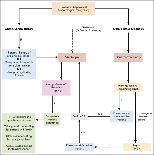 Suggested algorithm for identifying patients with a deleterious germline cancer predisposition variant. When a patient is diagnosed with a hematopoietic malignancy, clinical history and tumor biopsies are performed. Personal history of prior cancer (1 other hematopoietic malignancy or solid tumor, including melanoma in an individual younger than 50 years of age), diagnosis at a younger age than seen in the general population for a given cancer, or a strong family history of cancer (relative diagnosed with cancer within 2 generations of the patient) should prompt a skin biopsy and comprehensive germline testing. If tumor-only NGS identifies a known cancer-predisposition variant and the VAF is > 0.3, germline testing of the variant should follow. As additional NGS tests are performed to monitor the patient’s clinical course, persistent deleterious variants with VAF > 0.3 should prompt consideration of germline status. This is especially warranted if the deleterious variant is present in a gene associated with cancer risk. In the future, systematic collection of a skin biopsy at the time of the initial BM biopsy and culturing of fibroblasts to obtain germline DNA may become standard (dotted line). Once a deleterious germline variant is confirmed, variant/gene-specific surveillance should be followed for the patient (including a risk assessment for cancer involving organs outside the BM), genetic counseling and germline testing should be offered to appropriate family members, and potential risks should be considered if the patient were to undergo related HSCT from a family member sharing the allele. NGS, next-generation sequencing; VAF variant allele frequency. *Comprehensive testing that includes all genes and variant types that confer cancer risk is not standardized and requires careful review of testing options.