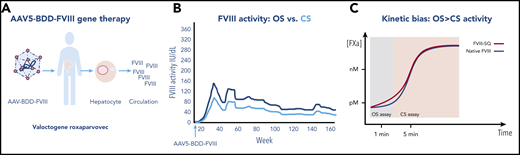 Factor VIII activity after AAV gene therapy. (A) AAV5-BDD-FVIII (valoctocogene roxaparvovec) is infused intravenously into a patient with severe hemophilia A. The vector-gene targets the hepatocyte and is expressed and secreted into the circulation. (B) Transgene-produced FVIII measured by the OS clot assay, indicated by the dark line, is 1.6-fold higher than FVIII activity measured by CS assay, indicated by the light line. (C) Kinetic bias leads to higher FVIII activity by OS than CS activity by gene-produced FVIII compared with native (wild-type) FVIII, as the former, but not the latter, accelerates early factor Xa formation, leading to earlier visible clot formation in the OS assay, which is read within the first 1 to 2 minutes of the coagulation reaction, whereas gene-produced FVIII and native FVIII show similar clot formation in the CS assay, which measures FVIII activity by color change after a 5-minute incubation, and is unaffected by the early reaction resulting in lower FVIII activity than by the OS assay. For panel C, see Figure 6 in the article by Rosen et al that begins on page 2524.