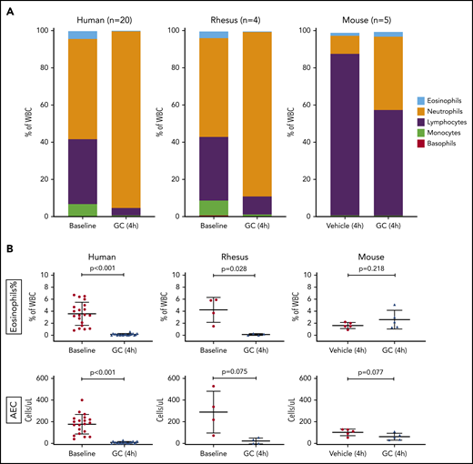 In vivo kinetics of circulating eosinophils and other blood cells after glucocorticoid administration in 3 species. Twenty healthy human volunteers received a single IV dose of glucocorticoid (methylprednisolone, 250 mg). Four adult rhesus macaques received a single IV dose of glucocorticoid (methylprednisolone, 4 mg/kg). Ten adult B6.SJL mice were randomly divided into 2 groups. One group (n = 5) received a single IV dose of glucocorticoid (methylprednisolone, 5 µg/g). Another group (n = 5) received vehicle (normal saline) at the same volume as the glucocorticoid-treated animals. The cell composition of peripheral blood was assayed by automated CBCs in a clinical laboratory. (A) Blood composition among the 3 species, at BL and in response to glucocorticoid (GC). The relative proportion of each color corresponds to the mean percentage of the respective cell type in the species displayed. WBC, white blood cell. (B) Top: relative abundance (expressed as a percentage of total WBCs) of eosinophils in peripheral blood, before and after glucocorticoid administration, in each of the 3 species. Bottom: AEC in peripheral blood, before and after glucocorticoid administration, in each of the species. In human and rhesus macaque cells, values at BL and in response to glucocorticoid (4 hours) are shown. In mice, values in vehicle- or glucocorticoid-treated animals are shown. Error bars represent the mean ± SD. Statistical analyses of the human and rhesus data were performed with a paired Student t test. Statistical analysis of the mouse data was performed with a Student t test for independent samples.