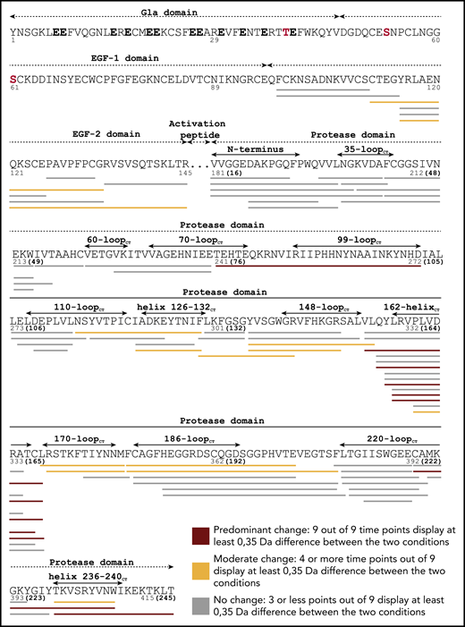Coverage of HDX-MS of FIXa–FVIIIa complex. HDX-MS experiments involved 9 time points, and changes in deuterium uptake were rated as prominent when all 9 time points displayed a reduction in deuterium uptake per peptide of ≥0.35 Da for the entire peptide. These were mapped on FIXa sequence in red. Changes were rated moderate when 4 to 8 time points showed reduction by ≥0.35 Da were mapped in yellow. No appreciable change was designated by peptides with less than 3 time points with ≥0.35 Da difference in deuterium uptake. FIXa numbering is assigned underneath the sequence, with chymotrypsin numbering between brackets. FIXa domains and regions are also indicated. Gla residues are indicated in black bold characters. Glycosylation sites are shown in red.