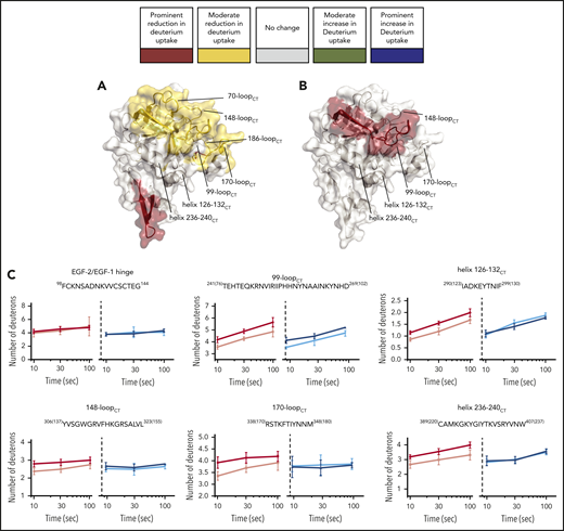 HDX-MS of the heavy-chain variant FIXaR333A{165CT}. FIXaR333A{165CT} ability to interact with FVIIIa in the FIXa–FVIIIa complex was investigated with HDX-MS. (A-B) FIXa protease domain and EGF-2 (PDB: 2wpm). The deuterium uptake changes are color coded according to their intensity as described in Figure 3. (A) Deuterium uptake differences in FIXaR333A{165CT} compared with wt-FIXa. (B) Deuterium uptake differences in FIXaR333A{165CT} compared with FIXaR333A{165CT} in the presence of FVIIIa. (C) Example plots comparing deuterium uptake differences between wt-FIXa, in the absence (red) or presence (pink) of FVIIIa, and FIXaR333A{165CT}, in the absence (dark blue) or presence (light blue) of FVIIIa.