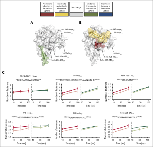 HDX-MS of the light-chain variant FIXaE78K. The ability of FIXaE78K to interact with FVIIIa in the FIXa–FVIIIa complex was investigated with HDX-MS. (A-B) Protease domain and EGF-2 are shown (PDB: 2wpm). The deuterium uptake changes are color coded according to their intensity as described in Figure 3. (A) Deuterium uptake differences in FIXaE78K compared with wt-FIXa. (B) Deuterium uptake differences in FIXaE78K compared with FIXaE78K in the presence of FVIIIa. (C) Example plots comparing deuterium uptake differences between wt-FIXa, in the absence (red) or presence (pink) of FVIIIa, and FIXaE78K, in the absence (dark green) or presence (light green) of FVIIIa.