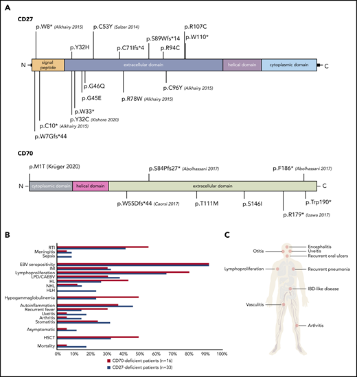 Clinical and genetic features of patients harboring mutations in CD27 and CD70. (A) Identified variants in CD27 (top) and CD70 (bottom). Corresponding publications for previously reported mutations are indicated in brackets. (B) Comparison of clinical findings and outcomes in CD27- and CD70-deficient patients. (C) Clinical manifestations of CD27 and CD70 deficiencies. IBD, inflammatory bowel disease; RTI, respiratory tract infection.