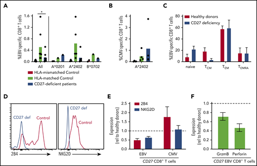 Impaired generation and function of EBV-specific CD8+ T cells in CD27-deficient individuals. (A-B) PBMCs from healthy HLA-mismatched, HLA-matched (n = 4-8), and CD27-deficient patients (n = 4-7) were stained with specific EBV- or CMV-peptide-MHC class I tetramers, mAbs to CD4, CD8, CCR7, CD45RA, CD57, CD95, PD-1, 2B4, and NKG2D. EBV-specific and CMV-specific CD8+ T cells quantified in HLA-mismatched or -matched controls and CD27-deficient patients, presented for all individuals as well as based on the specific HLA alleles (HLA-A*0201, HLA-A*2402, or HLA B*0702). Statistics were performed using ANOVA; *P < .05. (C) Distribution of EBV-specific CD8+ T cells in the naive, TCM, TEM, and TEMRA CD8+ T-cell populations in HLA-matched controls and CD27-deficient patients. (D) Expression of 2B4 and NKG2D on EBV-specific CD8+ T cells from healthy control and CD27-deficient patients. (E) Relative expression of 2B4 and NKG2D on EBV- and CMV-specific CD8+ T cells from CD27-deficient patients determined by calculating fold change relative to virus-specific CD8+ T cells from HLA-matched donors. (F) PBMCs were stained ex vivo with EBV-specific HLA tetramer, and mAbs to CD8, granzyme B, and perforin. Expression of granzyme B or perforin in EBV-specific CD8+ T cells from CD27-deficient patients was determined relative to that in EBV-specific CD8+ T cells from healthy donors.