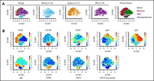 Detection of morphologic differences within B-cell compartments across different tissues using viSNE analysis. (A) viSNE analysis was performed on total live, single B lineage cells by using default parameters in Amir et al.46 θ = 0.5, perplexity = 30; iterations = 1000. B cells from each donor were downsampled to 2000 events to assure equal weighting in the subsequent analysis. Concatenated fetal calf serum files from blood (n = 14 donors) and BM (n = 14) tissues were further downsampled to 22 000 cells to be equivalent to SP (n = 11). All markers from “Stain 1” (supplemental Table 2) except for the viability dye were included in viSNE clustering. The merged file is depicted at far left, followed by the individual tissues. Manual gate overlays are shown at the far right. Population definitions for manual gating are: naive B cell, CD19+ CD27– CD95– CD38–; memory B cell, CD19+ CD27+ CD38–; antibody- secreting cells (ASC), CD38hi CD138+ CD27+; Ag-experienced, CD19+ CD27– CD95+ CD38–. (B) Heatmap profile of the individual markers as expressed in the concatenation of all 39 samples.