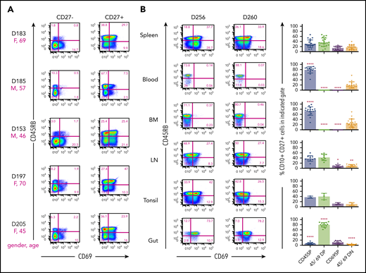 Combination of surface markers CD45RB and CD69 defines new MBC subsets in tissues. Splenocytes were stained for flow cytometric analysis with “Stain 2” (supplemental Table 2). (A) Distribution of CD45RB and CD69 of CD19+ CD27– and CD19+ CD27+ B cells of depicted donor spleens. The magenta letters and numbers show the sex (F = female; M = male) and the age (in years) of the donor. Numbers next to outlined areas indicate percentage of cells in gated populations. The indicated staining results in up to 4 different subsets, CD45RB SP, CD45/CD69 DP, CD69 SP, and CD45/CD69 DN. (B, left panel) CD45RB/CD69 distribution of human CD19+ CD27+ singlets within spleen, blood, BM, lymph nodes (LN), tonsil, or intestinal tissue (Gut) of indicated donors by utilizing “Stain 2” and “Stain 3” (supplemental Table 2). (B, right panel) shows the summary of CD45RB/CD69 distribution of CD19+ CD27+ MBCs within 21 spleen, 15 blood, 18 BM, 10 LN, 3 tonsil, and 14 gut samples. Asterisks indicate significant differences in CD45RB/CD69 subset distribution of indicated tissues compared with spleen using the unpaired two-tailed Student t test with Welch’s correction.