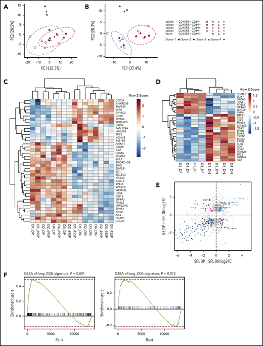 Gene expression analysis of CD45RB/CD69 subsets of spleen (SPL) and gut. Single-cell suspensions of SPL and ileum (ILE) were stained for RNA extraction after BD FACS Aria sorting of naive and MBC subsets defined by CD45RB and CD69 expression. (A) PC analysis of MBC subsets from SPL and ILE with genes that are differentially expressed between splenic DP and DN MBCs. The dotted ellipses represent the 95% confidence interval boundary for cell clusters. (B) PC analysis of MBC subsets from SPL and ILE with genes that are differentially expressed between CD69+ and CD69– MBCs. (C) Heatmap of top 40 DEGs between CD69+ and CD69– MBCs ranked by adjusted P value for all splenic MBC subsets. (D) Heatmap of differentially expressed TFs between splenic DP and DN MBCs. (E) Analysis of tissue-specific genes in DP and DN MBCs. Scatterplots display log2 fold-change of SPL DP vs DN samples on the x-axis and ILE DP samples vs SPL DN samples on the y-axis. Gray dots represent genes with significant (P adjusted <.1 and absolute value of log2 fold-change >1) differential expression in at least one of the 2 DP vs DN comparisons. Magenta dots denote “ILE-specific” and purple dots denote “SPL-specific” genes. Light blue and blue dots represent genes that are upregulated or downregulated, respectively, in both comparisons. (F) GSEA for ILE DP vs SPL DN on the TRM gene signature of CD8+ T-cell lineage (left panel) and CD4+ T-cell lineage (right panel) in lung tissue. In each plot, the x-axis shows the genes ranked by log fold-change between ILE DP vs SPL DN, and the y-axis shows the running enrichment score on the signature gene set with nominal P value indicated for 1000 permutations.