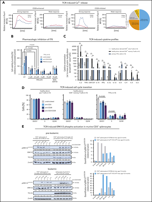 The TCR competent T-PLL cell shows aberrant effector responses. (A) Patterns of Ca2+ efflux upon CD3/28 crosslinking in 12 primary T-PLL; 4 representative examples (and number/cohort): TP017 (strong response, CD28-enhanced), TP093 (strong response, CD28-inhibited), TP018 (weak response, CD28-enhanced), TP046 (weak response, CD28-inhibited). (B) ITK inhibition blocks the stimulation-induced (CD3/CD28 crosslinking, phorbolmyristylacetate/ionomycin) increase in cell viability (CellTiter-Glo) in T-PLL cells (unpaired Student t test, SEM). Inhibitors: PRN-694 (covalent binding; relevant IC50s: ITK 0.3nM; RLK 1.4nM; JAK3 30nM) and BMS-509744 (reversible binding; IC50: ITK 15nM).52 C) Cytokine secretion of anti-CD3/CD28-stimulated healthy-donor derived CD4+ naïve and CD4+ memory T cells (each n = 5) vs T-PLL cells (n = 10) in relation to their unstimulated controls (11-analyte human cytokine array). Overall, secretory responses of healthy memory T cells and T-PLL cells were more similar and higher as compared with healthy-donor CD4+ naïve T cells. Particularly, releases of IL-2, TNFα/β, GM-CSF, IL-10, IFNγ, and IL-1β were strongly increased (unpaired Student t test, SEM). (D) Upon TCR crosslinking T-PLL cells (5 cases) enter the cell cycle (propidium iodide (PI) staining and flow cytometry) more readily than pan–T cells (n = 4) or CD4+ memory T cells (n = 5) from healthy donors, which was more pronounced in conditions of combined CD3/CD28 costimulation (unpaired Student t test, SEM). (E) Enhanced pERK1/2 response to TCR crosslinking in leukemic Lckpr-hTCL1Atg mice upon enrichment of TCL1A-transgene expressing memory T cells (see Figure 1F) as compared with preleukemic mice (and each to age-matched C57BL/6J wild-type controls); pooled splenocyte lysates of 3 mice; for sample purities see supplemental Figure 6D.