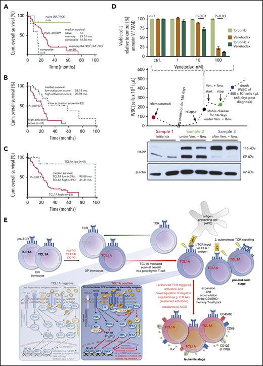 Clinical associations and a model of T-PLL evolution. (A-C) OS from diagnosis (log-rank tests) of uniformly treated T-PLL patients. See supplemental Figure 10 for associations of T-cell differentiation phenotypes with activation scores and with CD95. (A) The rare composite (n = 5) and naïve (n = 6) T-cell phenotypes were associated with a worse and better outcome than the bulk of CD45RO+ T-PLL, respectively. (B) Correlation of higher cellular activation in 53 T-PLL patients with shorter OS. Analyte cutoffs and definition of the activation score are outlined in the legend of Figure 2A. (C) Differential prognosis of T-PLL patients (n = 73) stratified by TCL1A protein expression (percentage of positive cells in PB; flow cytometry). (D) A T-PLL patient in disease progression under cyclophosphamide (previously refractory to alemtuzumab, bendamustine, and fludarabine) was treated with Venetoclax (800 mg/d) and Ibrutinib (420 mg/d). This treatment stabilized PB lymphocyte counts over the entire period of exposure (middle panel). Blood sampling at the indicated (color-coded) time points reveals the cytotoxic effect of this treatment (PARP cleavage, western blots, lower panel) fitting the synergistic in vitro relationship of both substances from samples before this treatment (top). (E) Proposed model of the proleukemogenic cooperation of TCL1A with TCR signaling. TCL1A is normally silenced upon progression of double negative (DN) to double positive (DP) thymocytes. Physiologically (TCL1A negative peripheral T cell, left box), activation via the matured TCR is regulated by coreceptors and only high avidity antigens mediate TCR signals and cell activation. In the T-PLL precursor, genetic aberrations dictate deregulated expression of the antiapoptotic proto-oncogenes TCL1A or MTCP1 (t(X;14)). The resulting survival benefit is supported by the effect of additional genomic alterations (eg, ATM). TCL1A enhances p-kinase responses (underlying physical interactions described in Herling et al10) and cellular effector functions such as IL-2 secretion (right box) of the affected T cell and contributes to its resistance to safeguarding cell death (AICD). By enhancing TCR signals, TCL1A enables low-avidity (auto)antigens to trigger a beneficial T-cell activation, in an MHC-dependent context or in autonomous TCR activation. By lowering the TCR-signaling threshold (sensitizer effect), TCL1A propels the transition of naïve T cells into an expanding memory T-cell pool as the origin of final T-PLL outgrowth (see also TCL1A-tg mice). Sustained activation (increased autonomy) is further mediated by impaired control mechanisms (eg, CTLA4 downregulation).