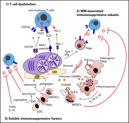 The immunosuppressive microenvironment in MM. TIGIT is frequently expressed on functionally exhausted T cells in the MM BM. At the interface between T cells and malignant PCs, the interaction between TIGIT and its ligand CD155 plays a critical role in negative regulation, including the competitive inhibition of CD226-dependent antitumor immunity. The proinflammatory MM milieu is critically implicated in the generation of immunosuppressive subsets, such as type 1 IFN–induced Tregs, versican-induced tolerogenic TAMs, and myeloid-derived suppressor cells (MDSCs) induced by S100A9 and the inflammasome-derived IL-18. Various soluble metabolites and cytokines derived from immunosuppressive subsets or malignant PCs also regulate effector lymphocyte functions. These factors include adenosine driven by ectoenzymes, indoleamine 2,3-dioxygenase (IDO)-induced tryptophan catabolites, transforming growth factor-β (TGF-β), and IL-10. ATP, adenosine triphosphate; DAMP, damage-associated molecular pattern; MDSC, myeloid-derived suppressor cell; MHC, major histocompatibility complex; NAD, nicotinamide adenine dinucleotide; PD-1, programmed cell death protein 1; PDL-1, programmed death ligand 1; TIGIT, T-cell immunoreceptor with immunoglobulin and ITIM domains.