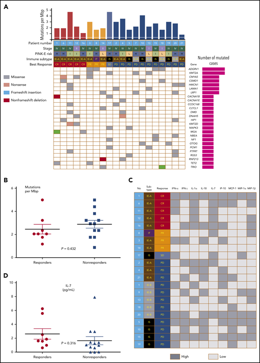 Tumor mutations and serum cytokines of responders and nonresponders. (A) Comparison of mutation profiles according to responses. (B) Tumor mutation burden of responders and nonresponders. (C) Comparison of cytokines and chemokines according to responses. (D) IL-7 levels of responders and nonresponders.