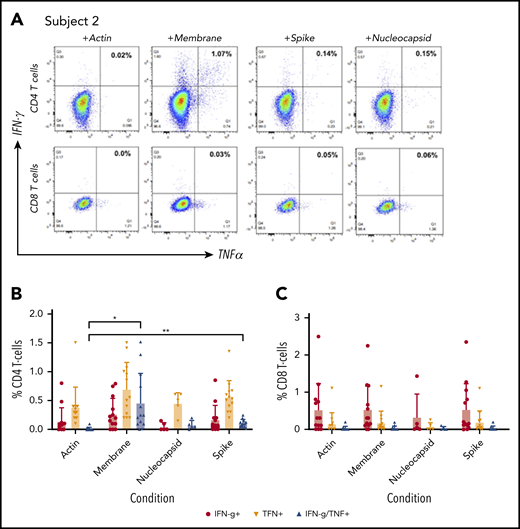 Specificity of ex vivo–expanded CST. Following 10 to 12 days of culture, specificity of CD4 and CD8 T-cell populations for membrane, spike, and nucleocapsid proteins was assessed by intracellular cytokine staining for IFN-γ and TNF-α. (A) Subject 2 demonstrates a CD4-predominant response targeting structural proteins. (B-C) Summary data of the response of expanded CD4+ T cells (B) and CD8+ T cells (C) in response to membrane, spike, and nucleocapsid proteins by intracellular cytokine staining was analyzed in convalescent donors (n = 11), and the percentage of T cells was compared with actin-stimulated controls via 2-tailed Student t test. *P < .05, **P < .01.