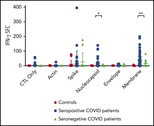 T-cell specificity of seropositive vs seronegative patients. Comparison of IFN-γ ELISpot results from postexpansion CSTs from SARS-CoV-2 seropositive vs seronegative convalescent patients was performed via Student t test. *P = .0015, **P = .00075.