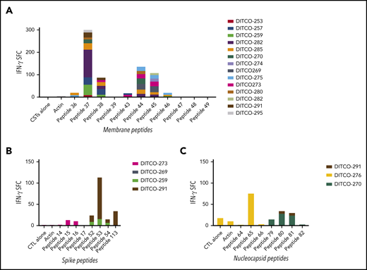 SARS-CoV-2 epitope mapping of CSTs. T-cell epitope mapping of structural proteins was performed using minipools containing 8 to 24 peptides each, with responses measured via IFN-γ ELISpot (SFC per 1 × 105 cells). (A) Epitopes within membrane protein were identified within the C terminus at AA 144-163 and 173-192, which were recognized by 8 and 6 donors, respectively. (B) Mapping of spike epitopes demonstrated three regions at AA 57-75, 205-224, and 449-463, which were recognized by 3 donors. (C) Mapping of nucleocapsid epitopes showed 2 regions at AA 357-271 and 313-335 were recognized by 3 donors.