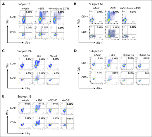 T-cell restrictions of SARS-CoV-2 epitopes. Identification of the T cells responding to each identified epitope was performed via intracellular cytokine staining on expanded CSTs, with percentages of TNF-a+/IFN-γ+ populations depicted. Intracellular cytokine staining demonstrated a predominant CD4-mediated response to membrane peptides 37-38 (A), membrane peptides 44-45 (B), nucleocapsid peptide 65 (C), and spike proteins 15-16 (D), and a predominant CD8-mediated response to nucleocapsid peptide 81 (E). SEB, staphylococcal enterotoxin β.