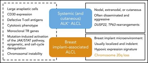 Common and distinctive features of breast implant–associated vs other ALK− ALCLs.