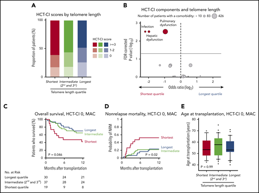 Telomere length and comorbidities. (A) Distribution of HCT-CI scores according to telomere length groups. (B) Association between each HCT-CI component comorbidity and the shortest or the longest telomere length group in patients age 40 years or older. The x-axis depicts the magnitude of association (log2 odds ratio), and the y-axis shows the negative log of the P values corrected for multiple hypothesis testing (-log10P). The solid line represents the threshold of significance (0.05) for FDR-corrected P values. Each circle represents 1 comorbidity; the size of the circle reflects the number of patients with a comorbidity. (C-E) Overall survival, cumulative incidence of nonrelapse mortality, and age at transplantation, respectively, by telomere length quartiles in patients with HCT-CI score 0 who received myeloablative conditioning.