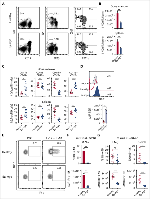 The lymphoma microenvironment suppresses NK cell cytokine production. (A-C) C57BL6/J mice were inoculated IV with GFP+ Eµ-myc lymphoma cells (1 × 105 cells). NK cells derived from spleens and bone marrows of Eµ-myc lymphoma bearing or healthy mice were analyzed on days 14 through 18 after inoculation. (A) Abundance of NK cells in spleen and bone marrow (n = 7) and (B) proportions of mature NK cell subsets were measured by CD11b and CD27 expression on NK cells derived from healthy and Eµ-myc lymphoma spleen (n = 11). (A) Numbers in the representative plots denote the percentages of populations of the parental gates. (D) Analysis of splenic NK cells derived from Eµ-myc lymphoma-bearing or healthy mice were analyzed on 14 days after inoculation to assess expression of TIGIT (n = 4-5). (E-F) IL-12 and IL-18 were administered to healthy and Eµ-myc lymphoma-bearing mice on day 17 after lymphoma inoculation. Splenocytes were harvested 20 hours later and treated with GolgiPlug for 4 hours to stop cytokine release before flow cytometric analysis of intracellular cytokine production (n = 5). (E) The percentages of cytokine IFN-γ-producing NK cells, and (F) Δ mean fluorescent intensity (ΔMFI, MFI of staining Ab minus MFI of respective isotype Ab) of IFN-γ of cytokine-producers are shown. Numbers in the representative plots denote the percentages of IFN-γ-producing NK cells. (G) α galactosylceramide (αGC) was administered to healthy and Eµ-myc lymphoma-bearing mice on day 14 after lymphoma inoculation. Splenocytes were harvested 20 hours later and treated with GolgiPlug for 4 hours before flow cytometric analysis. IFN-γ (left) and GzmB (right) were assessed by flow cytometry (n = 8). Data show mean ± SEM; statistical significance (*P < .05; **P < .01; ***P < .001; ****P < .0001; NS, not significant) was determined by Mann-Whitney test.