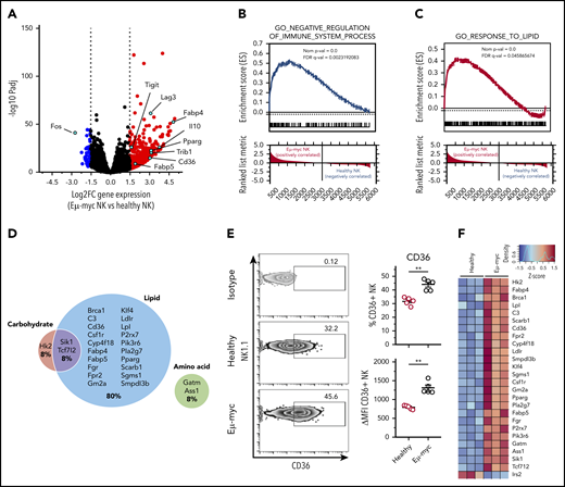 NK cells derived from lymphoma bearing mice show transcriptional upregulation of lipid metabolism. Splenic NK cells were purified from Eµ-myc lymphoma-bearing or healthy mice using flow cytometry at 14 days after inoculation of the lymphoma. The purified NK cells were subjected to RNAseq. (A) Volcano plot displaying log2-fold change (FC) and negative log10 adjusted P value of gene expression comparing NK cells derived from Eµ-myc vs healthy mice. Upregulated or downregulated genes in Eµ-myc compared with healthy NK are highlighted as red or blue, respectively. (B-C) Preranked gene set enrichment analysis (GSEA) of Eµ-myc vs healthy NK cell transcriptomes showing enrichment for gene ontology (GO) terms including “Negative regulation of immune system process” (B) “response to lipid” (C). (D) Genes in GO term “cellular metabolic process” were categorized into relevant subgroups (cell carbohydrates, cell lipid, cell amino acid, cell carb × cell amino, cell carb × cell lipid, cell lipid × cell amino acid). The Euler diagram was generated to show the percentages of significantly upregulated genes assigned to each subgroup. The size of each circle is proportional to the number of genes assigned to each subgroup. (E) Splenocytes were harvested from healthy and Eµ-myc lymphoma-bearing mice at day 14 postinoculation and CD36 expression of NK cells was assessed by flow cytometry (n = 5). Numbers in the representative plots denote the percentages of NK cells expressing CD36. Data show mean ± SEM; statistical significance (**P < .01) was determined by Mann-Whitney test. (F) Heatmap of differentially expressed genes involved in cellular metabolism.