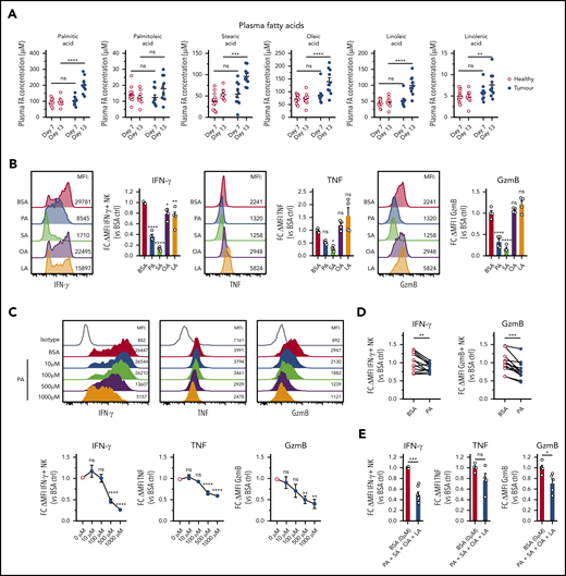 B-cell lymphoma leads to elevation of fatty acid levels associated with repressed NK cell function. (A) Plasma samples were collected from healthy and Eµ-myc lymphoma-bearing mice on day 7 and 13 days after lymphoma inoculation, and plasma fatty acid (FA) levels including myristic acid, palmitic acid (PA), palmitoleic acid, steric acid (SA), oleic acid (OA), linoleic acid (LA), and linolenic acid were measured using liquid chromatography mass spectrometry (LC-MS) (n = 10-14). (B) Splenic NK cells were isolated and expanded in culture for 10 days with IL-15, after which they were either pretreated with IL-15 + 400 µM of PA, SA, OA, LA, or bovine serum albumin (BSA) control, or (C) IL-15 + increasing amounts of PA or BSA control for 48 hours, followed by 20 hours stimulation with IL-12 + IL-15 + IL-18 in the presence of FAs. GolgiPlug was added for the last 4 hours to stop protein release. Expression of IFN-γ, TNF, and GzmB was assessed by flow cytometry (n = 4-8). (D) Human PBMCs were pretreated with PA for 4 hours, followed by cytokine stimulation and measurement of expression of IFN-γ and GzmB (n = 13). (E) Mouse NK cells were pretreated with IL-15 + 4 FAs combined (100 µM of PA, SA, OA, and LA) or BSA control for 48 hours, followed by cytokine stimulation and measurement of expression of IFN-γ, TNF, and GzmB as in D (n = 4-7). Fold changes (FC) were calculated as δ MFI (MFI of target Ab staining minus MFI of isotype control staining) relative to that of BSA control. Data show mean ± SEM; statistical significance (*P < .05; **P < .01; ***P < .001; ****P < .0001; NS, not significant) was determined by 2-way ANOVA followed by (A) Sidak test, (B-C) 1-way ANOVA followed by Dunnett test, (D) Wilcoxon test, or (E) Mann-Whitney test.