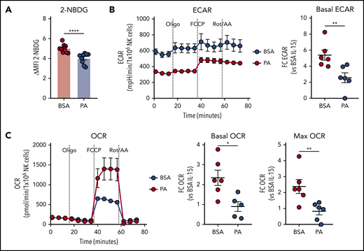 Excessive supply of fatty acid suppresses NK cell metabolism. (A-C) Splenic NK cells were isolated and expanded with IL-15 in vitro, and effects of palmitic acid (PA) on NK cell metabolism were examined. NK cells were pre-treated with IL-15 + 500 µM PA or BSA control for 24 hours, and stimulated with IL-12 + IL-15 + IL-18 for 20 hours in the presence of fatty acid (FA). (A) 2-NBDG uptake of NK cells measured by flow cytometry (n = 9). (B) Basal extracellular acidification rate (ECAR) and (C) basal oxygen consumption rate (OCR, left), OCR linked to ATP production (middle) and maximal OCR (right) as measured by metabolic flux assay. Fold changes were calculated against IL-15 + BSA controls (n = 6). (A-C) Data show mean ± SEM; statistical significance (*P < .05; **P < .01; ***P < .001; ****P < .0001; NS, not significant) was determined by Mann-Whitney test.