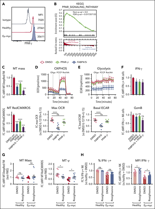 PPAR-γ maintains cytokine-induced NK cell function and metabolism. Functional and transcriptomic analyses of splenic NK cells derived from Eµ-myc lymphoma-bearing or healthy mice. (A) Splenocytes from healthy and Eµ-myc lymphoma-bearing mice were harvested at 14 days after inoculation, and PPAR-γ protein expression was determined by flow cytometry. (B) Gene set enrichment analysis (GSEA) of Eµ-myc vs healthy NK cell transcriptomes as Figure 3 showing enrichment for KEGG pathway “PPAR signalling.” Functional significance of mediators of lipid metabolism was examined using pharmacological antagonists for PPAR-γ (PPAR-γi: 10 µM GW9662), FABP4/5 (FABP4/5i: 100 µM BMS309403), or a combination of both (FABP4/5i + PPAR-γi). (C-F) Splenic NK cells were isolated and expanded in culture in the presence of IL-15 (50 ng/mL) for 10 days, and treated with PPAR-γi, FABP4/5i, FABP4/5i + PPAR-γi, or DMSO control in the presence of IL-15 (10 ng/mL) for 24 hours, then stimulated with IL-12 (1 ng/mL) and IL-18 (1 ng/mL) for 20 hours. (C) Mitochondrial mass and membrane potential were measured by flow cytometry (n = 6). (D-E) Metabolic analysis to examine real-time changes in maximal OCR (D) and ECAR (n = 6) (E). (F) Expression of IFN-γ and GzmB was assessed by flow cytometry (n = 9). (G) Wild-type Eµ-myc lymphoma-bearing mice were administered rosiglitazone (200 µg) or vehicle (2% DMSO/H2O) daily from days 6 to 12. Spleens were harvested 1 day later, and mitochondrial mass and membrane potential were determined (n = 6-11 per group). (H) Splenocytes from mice as in panel F were stimulated with IL-12 + IL-15 + IL-18 for 20 hours. GolgiPlug was added for the last 4 hours to stop cytokine release before (left) the proportion of IFN-γ-producing NK cells and (right) the expression levels of IFN-γ were assessed by flow cytometry (n = 6-11 per group). Fold changes (FC) were calculated as δ MFI (MFI of target antibody staining or fluorescent probes for metabolism minus MFI of fluorescence mean of 0 (FMO) or isotype control staining) relative to that of DMSO controls. Data show mean ± SEM; statistical significance (*P < .05; **P < .01; ***P < .001; ****P < .0001; NS, not significant) was determined by 1-way ANOVA Dunnett test (C-F) or Mann-Whitney test (G-I).