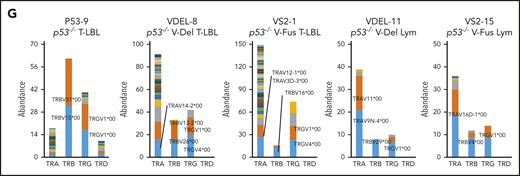 WES analysis of tumor and tail samples. (A) Percentages of targeted bases covered by at least 2×, 10×, 20×, 30×, 40×, 50×, and 100× sequencing reads (top). (B) Variant allele frequencies of somatic mutations in each tumor (T-LBL from p53−/− mice, n = 3; T-LBL from p53−/− V-Del, n = 3; T-LBL from p53−/− V-Fus, n = 4; Lym from p53−/− V-Del, n = 2; and Lym from p53−/− V-Fus, n = 5). Mutations identified in human targeted capture sequencing data2,4 are shown in orange, and those identified in human WES data2 in blue. (C) Focal SCNAs identified through the GISTIC 2.0 algorithm using WES data. Amplified regions are shown in red; deleted regions are shown in blue. Chromosome 15qD1 includes the Myc locus. (D) High-level amplification of the Myc locus identified in Lym from 2 p53−/−VAV1-Tg mice. (E) Immunofluorescent staining for indicated markers in thymus from, p53−/− V-Del, and p53−/− V-Fus mice harboring T-LBL (i), and in spleens of p53−/− V-Del and p53−/− V-Fus mice harboring Lym (ii). Original magnification ×400. Scale bars, 10 µm. The percentage at the bottom right corner is positivity in the tumor cells. CD3, red; Myc, green; 4′,6-diamidino-2-phenylindole (DAPI), blue. (F) Comutation plots including the spectrum of somatic mutations and focal SCNAs. (G) Rearrangements of TCR genes identified through the MiXCR algorithm using WES data. The y-axis indicates each rearranged TCR gene with a certain complementarity-determining region 3 (CDR3) sequence. Distinct CDR3 regions are indicated by alternating colors within each sample; colors are indicated in descending order and do not indicate sequence identity.