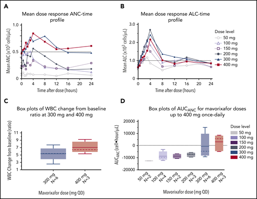 Global hematological response to mavorixafor. (A) Mean dose response ANC-time profile. The ANC threshold (500 neutrophils per microliter) is indicated by the dashed line. (B) Mean dose response ALC-time profile. The ALC threshold (1000 cells per microliter) is indicated by the dashed line. (C) Increasing concentrations of mavorixafor result in an increase in the total WBC counts in patients with WHIM syndrome. Box plots show WBC change from baseline ratio at 4 hours for 300-mg and 400-mg once-daily mavorixafor. For box plots, the dashed line is the median; the solid line is the arithmetic mean; the lower and upper ends of the boxes are the 25th and 75th percentiles, respectively; the lower whiskers show the lowest data value still within 1.5 interquartile range (IQR) of the lower quartile, and the upper whiskers show the highest value still within 1.5 IQR of the upper quartile. (D) Box plots of AUCANC for mavorixafor doses up to 400 mg, once daily. Box plots show AUCANC >600 cells per microliter threshold over 24 hours. The dotted line represents a null net AUC relative to the ANC theshold of 600 neutrophils/μL. The values above the dotted line represents the net AUC result above this threshold of 600 neutrophils/μL. N, number of patients; QD, once daily.
