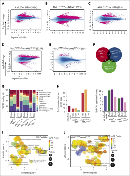 CTCF differential occupancy. (A-E) MA plots of differentially bound CTCF sites between AMLall and NBM (A), AMLTET2mut and NBM (B), AMLTET2wt and NBM (C), AMLTET2mut and AMLTET2wt (D), and AMLNPM1mut and AMLNPM1wt (E) (FDR <0.05). (F) Venn diagram showing DBC overlap for comparisons between AMLall vs NBM (pink circle), AMLTET2mut vs AMLTET2wt (blue circle), and AMLNPM1mut and AMLNPM1wt (green circle). (G) Distribution of gained and lost CTCF binding over genomic features for AMLall and AMLTET2mut specific DBCs. (H) Enrichment of differentially bound CTCF peaks in promoters (left) and enhancers (right) compared with all detected CTCF peaks. (I-J) Scatterplot of GO terms of gained DBCs in AMLall vs NBM (I) and AMLTET2mut vs AMLTET2wt (J). Circle color indicates P value (−log10P value) and circle size the frequency of the GO terms. (K) Motif analysis of all DBCs in AMLall vs NBM. (L) ChIP quantitative PCR using anti-CTCF in K562-CTCF knockdown cells (*P < .05; Student t test). (M) ChIP quantitative PCR using anti-RUNX1 in K562-CTCF knockdown cells; scramble control was set to 1 (dashed line), and values were normalized against scramble control (*P < .05; Student t test).