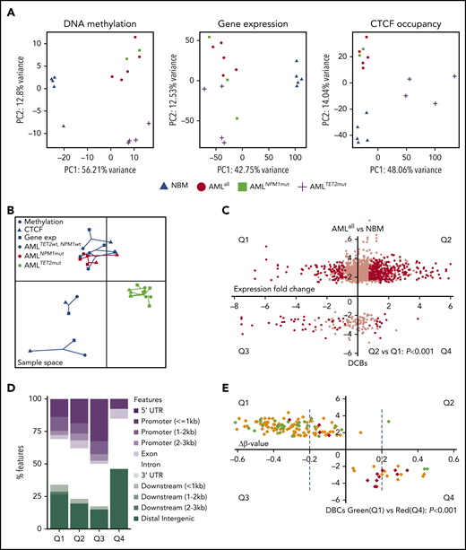 Correlations among CTCF occupancy, DNA methylation, and gene expression. (A) PCA analysis of DMCs (left), DEGs (middle), and DBCs (right) based on analyses from EPIC DNA methylation array, RNA-seq, and ChIP-seq for CTCF, respectively. (B) Multiple coinertia analysis of DMCs, DBCs, and DEGs based on EPIC DNA methylation, RNA-seq, and ChIP-seq data, where data from all 3 analyses performed in the same samples were integrated. Each patient is represented by filled circles for DNA methylation data, triangles for ChIP-seq data, and filled squares for gene expression data, while the length of the line that connects the 3 omics types is proportional to the divergence of the data in the same sample. (C) Dot plot of DBCs (AMLall vs NBM) in relation to the change in expression of the related genes comparing AMLall and NBM. The x-axis represents fold change of gene expression, and the y-axis fold change in CTCF occupancy (FDR <0.05). Black dots indicate genes with statistically significant change expression (FDR <0.05, fold change >1.5). χ2 test was used to calculate statistical significance between Q1 and Q2 (P < .001). (D) Bar plot showing the genomic distribution of DBCs with differentially expressed gene in panel C. (E) Dot plot of DBCs in relation to fold change of β-values (Δβ-value) for AMLall vs NBM, where the x-axis represents fold change in β-value and the y-axis fold change in CTCF occupancy. Statistical significance is indicated by dashed blue lines for Δβ-value (FDR <0.05, fold change >1.5). Green and red diamonds represent up- or downregulated genes, respectively, while yellow diamonds represent genes with no change in gene expression. χ2 test used to calculate statistical significance in gene expression between Q1 and Q4 (P < .001). PC, principal component.