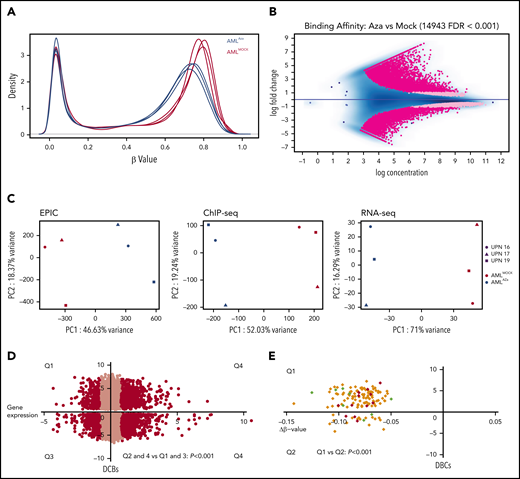 Azacitidine induces hypomethylation and changes in CTCF occupancy. (A) Density plots for β-values of all normalized CpGs (n = 723 768) in azacitidine and mock-treated AML samples. (B) MA plot of differentially bound CTCF sites between azacitidine- and mock-treated samples (FDR <0.001). Dark pink dots show peaks with fold change >1.5. (C) PCA analysis of differentially methylated sites (left), differentially bound sites (middle), and differentially expressed genes (right) based on EPIC array data, ChIP-seq for CTCF, and RNA-seq, respectively, in azacitidine- vs mock-treated AML samples. (D) Dot plot of DBCs in relation to changes in gene expression between azacitidine- vs mock-treated samples. The x-axis represents fold change in gene expression and the y-axis fold change in CTCF occupancy (FDR <0.001). Black dots represent genes with statistically significant changes in gene expression (FDR <0.05, fold change >1.5); χ2 test was used to calculate statistical significance between up- and downregulated genes (P < .001). (E) Dot plot of DBCs in relation to fold change in DNA methylation by β-values (Δβ-value) for azacitidine- vs mock-treated samples. The x-axis represents Δβ-value (FDR<0.1) and the y-axis fold change in CTCF occupancy (FDR <0.001). Green and red dots represent up- or downregulated genes, respectively (FDR <0.05, fold change >1.5); χ2 test was used to calculate statistical significance between Q1 and Q2 (P < .001).