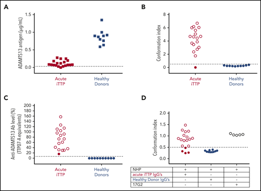 Anti-ADAMTS13 autoantibodies from acute iTTP patients induce an open ADAMTS13 conformation in healthy donor plasma. (A) ADAMTS13 antigen levels in acute iTTP patients (n = 19) and healthy donors (n = 10). Plasma was added to coated antibody 3H9. Bound ADAMTS13 was detected using biotinylated antibodies 19H4 and 17G2 and horseradish peroxidase–labeled streptavidin. NHP was used as a reference and set as 1 µg/mL ADAMTS13.5 Only samples containing ≥0.03 µg/mL (dotted line) could be tested for ADAMTS13 conformation. (B) ADAMTS13 conformation was tested in plasma samples of acute iTTP patients (n = 18) and healthy donors (n = 10) using our 1C4-ELISA; open ADAMTS13 (Conformation Index >0.5; open circles), but not closed ADAMTS13 (Conformation Index ≤0.5; filled circles), is specifically captured on the coated antibody 1C4. (C) Anti-ADAMTS13 autoantibody levels in acute iTTP patients (n = 18) and healthy donors (n = 10). Plasma was added to coated rhADAMTS13, and bound anti-ADAMTS13 autoantibodies were detected by horseradish peroxidase–labeled polyclonal goat anti-human IgG (Fc-specific) antibodies. To calculate anti-ADAMTS13 autoantibody levels, the iTTP plasma sample TTP07-A was used as a reference and set as 100%. The threshold of positivity was determined by the 97.5th percentile of anti-ADAMTS13 autoantibody levels measured in healthy donors (n = 404) and set as 6.7% (supplemental Figure 1). Filled circles, closed ADAMTS13; open circles, open ADAMTS13. (D) Purified IgGs from acute iTTP patients (n = 18) or healthy donors (n = 10) were individually preincubated with closed ADAMTS13 present in NHP. Next, the preincubated samples were tested using the 1C4-ELISA to determine whether the purified IgGs had opened the closed ADAMTS13 conformation in NHP. Murine monoclonal antibody 17G2, which induces an open ADAMTS13 conformation, was used as a positive control (n = 5). Filled circles, closed ADAMTS13; open circles, open ADAMTS13.