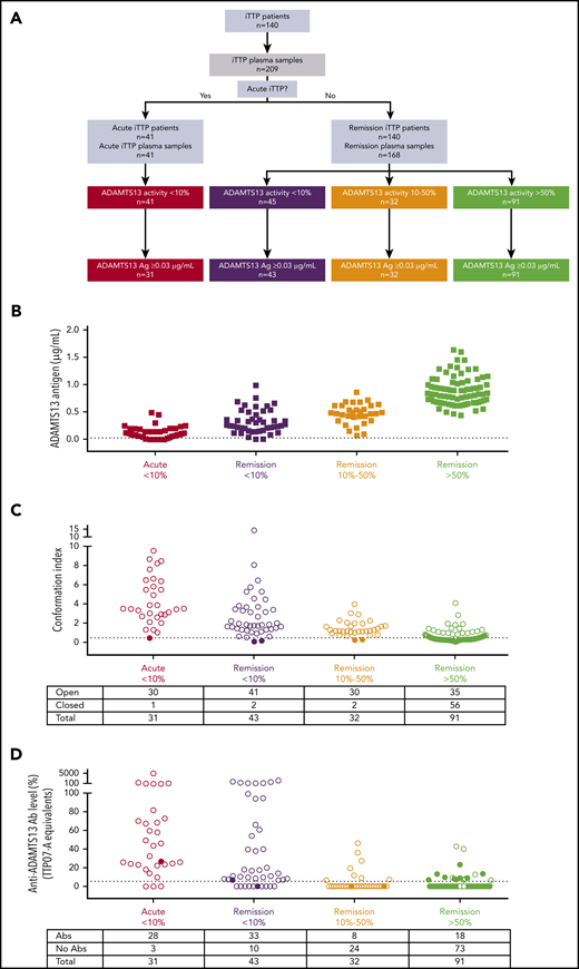 ADAMTS13 antigen levels, ADAMTS13 conformation, and anti-ADAMTS13 autoantibody levels in iTTP patient samples during acute and remission phase. (A) Flow chart of patient inclusion. iTTP plasma samples (n = 209) from 140 iTTP patients were grouped into 4 categories according to their ADAMTS13 activity and disease state: acute iTTP (ADAMTS13 activity <10%, n = 41), iTTP in remission with ADAMTS13 activity <10% (n = 45), iTTP in remission with ADAMTS13 activity between 10% and 50% (n = 32), and iTTP in remission with ADAMTS13 activity >50% (n = 91). (B) ADAMTS13 antigen levels in plasma from acute iTTP patients (n = 41) and iTTP patients in remission (n = 140).5 Only samples containing ≥0.03 µg/mL (dotted line) could be tested for ADAMTS13 conformation. (C) ADAMTS13 conformation was tested in plasma samples from acute iTTP patients (n = 31), iTTP patients in remission with ADAMTS13 activity <10% (n = 43), iTTP patients in remission with ADAMTS13 activity between 10% and 50% (n = 32), and iTTP patients in remission with ADAMTS13 activity >50% (n = 91), using 1C4-ELISA. Filled circles, closed ADAMTS13; open circles, open ADAMTS13. (D) Anti-ADAMTS13 autoantibody levels (TTP07-A equivalents) in plasma from the patients in C were measured using ELISA. Filled circles, closed ADAMTS13; open circles, open ADAMTS13. Abs, antibodies.