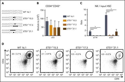 ETS1 deletion in human embryonic stem cells severely impairs NK cell development. (A) Three homozygous ETS1 knockout (ETS1−/−) hESC clones were generated by using CRISPR/Cas9 technology to introduce mutations in exon A/1 by non-homologous end joining. The wild-type (WT) clone underwent the same selection processes. The sequence of the targeted region of exon A/1 is indicated for both alleles, showing biallelic frameshifts in the knockout clones. (B) WT and mutated hESCs were differentiated into hematopoietic CD34+CD43+ progenitor cells. Cell numbers are indicated (mean ± SEM; n = 4-6). (C-D) CD34+CD43+ cells were subsequently cultured in NK cell–differentiating conditions. (C) The ratio of the cell numbers of generated NK cells (gated as CD45+CD56+CD94+) over the input precursor stem cell number was determined (mean ± SEM; n = 4-6) on d14 and d21. (D) Representative dot plots of d21 cultures are shown, with the indicated NK cell percentage in the CD45+ gated population. Significant difference compared with the WT clone, *P < .05 (Student t test).