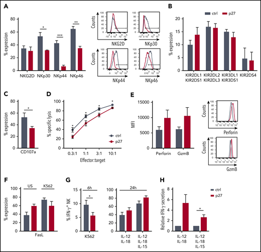 ETS1 influences NK cell terminal differentiation and function. (A-B) Flow cytometric expression of the indicated receptors on gated NK cells from d21 control (ctrl) and ETS1 p27 cultures (mean ± SEM; n = 5-15). (C) d18 to d21 NK cells were stimulated with an equal number of K562 target cells, and CD107a expression was determined (mean ± SEM; n = 8). (D) The cytotoxic capacity of sorted d18 to d21 NK cells against K562 targets was determined in a 51chromium release assay. Data are expressed as the percent specific lysis as a function of the effector:target ratio (mean ± SEM; n = 6). (E) The mean fluorescence intensity (MFI) of perforin and granzyme B (GzmB) expression in ctrl and ETS1 p27 NK cells (n = 6). (F) Fas ligand expression of NK cells that were unstimulated (US) or stimulated for 2 hours with K562 cells (n = 5). (G) Cells from d21 ctrl and ETS1 p27 cultures were stimulated with K562 cells for 6 hours, or with IL-12/IL-18 or IL-12/IL-15/IL-18 for 24 hours, and IFN-γ production was determined by flow cytometry in gated NK cells (mean ± SEM; n = 4-12). (H) Sorted d21 NK cells were stimulated with IL-12/IL-18 or IL-12/IL-15/IL-18 for 24 hours, and secreted IFN-γ was measured by using enzyme-linked immunosorbent assay. The relative IFN-γ production compared with ctrl is shown (mean ± SEM; n = 6-7). Significant difference compared with ctrl, *P < .05, **P < .01, and ***P < .001 (Student t test).
