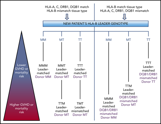 Proposed algorithm for the selection according to the patient’s HLA-B leader genotype in unrelated donors for hematopoietic cell transplantation.