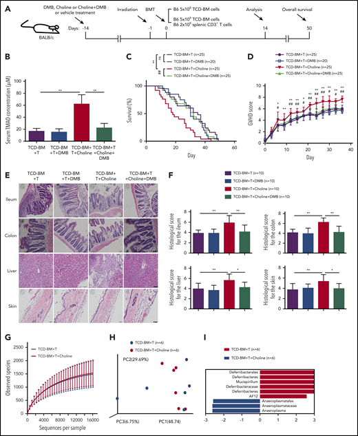 DMB decreased high-choline-diet–produced TMAO and reduced tissue damage in choline-fed GVHD mice. (A) Experimental scheme of BMT mice and GVHD mice protocol. BALB/c recipients were fed with DMB, choline-containing diet, or choline+DMB from day −14 and, thereafter, lethally irradiated on day −1, and transfused with C57BL/6 donor cells on day 0. The data were collected on day 14 except for the survival curve analysis on day 50. (B) Serum TMAO concentration was determined in GVHD mice fed with DMB, choline, or choline and DMB diet. Data were pooled from 3 independent experiments. N = 7 in each group. **P < .01. (C) Kaplan-Meier survival curve was determined in GVHD mice with vehicle (n = 25), DMB (n = 20), choline (n = 25), or choline+DMB diet (n = 25). Graph represents pooled data from 2 (DMB) or 3 (vehicle, choline, choline+DMB) independent experiments. **P < .01 (TCD-BM+T vs TCD-BM+T+choline). ##P < .01 (TCD-BM+T+choline vs TCD-BM+T+choline+DMB). (D) GVHD score was determined in GVHD mice treated with vehicle (n = 25), DMB (n = 20), choline (n = 25), or choline+DMB (n = 25). Graph represents pooled data from 2 (DMB) or 3 (vehicle, choline, choline+DMB) independent experiments. *P < .05, **P < .01 (TCD-BM+T vs TCD-BM+T+choline). #P < .05, ##P < .01 (TCD-BM+T+choline vs TCD-BM+T+choline+DMB). (E) Representative H&E staining of ileum, colon, skin, and liver tissues from GVHD mice fed with choline, DMB, or choline and DMB diet. Scale bar, 200 μm. (F) Histologic analyses of paraffin-sectioned ileum, colon, skin, and liver tissues from GVHD mice were performed on day 14. *P < .05, **P < .01. Data were pooled from 3 independent experiments. N = 10 in each group. (G) Bacterial diversity of fecal microbiota from GVHD mice with high-choline diet or control diet was analyzed. N = 6 in each group. (H) Principal coordinate analysis distances of the fecal microbiota communities between high-choline diet and chow diet in GVHD mice. N = 6 in each group. (I) Linear discriminant analysis coupled with effect size measurements to identify gut microbial taxa in GVHD mice fed with high-choline diet or control diet. N = 6 in each group. ns, not significant; PC, principal component.