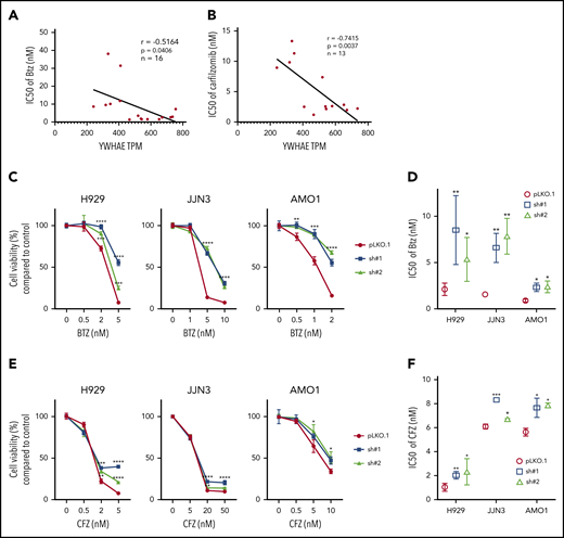 YWHAE/14-3-3ε expression levels correlates with PI sensitivity in MM cell lines. (A-B) A panel of MM cell lines were treated with different concentrations of BTZ (A) or CFZ (B) for 24 hours, and cell viability was evaluated by Cell-Titer Glo (CTG). IC50 was calculated with GraphPad Prism 8. Pearson correlation analysis of YWHAE mRNA expression level and IC50 for BTZ (A) or CFZ (B) is shown in the graph. (C-F) H929, JJN3, and AMO1 MM cells were infected with either scrambled (pLKO.1) or 14-3-3ε-targeted shRNA and selected with puromycin for 72 hours. Transduced cells were treated with different concentrations of BTZ or CFZ for 24 hours. Cell viability was evaluated by CTG. (C,E) Results are expressed as percentage change compared with each untreated control cell. (D,F) IC50 analysis was performed using the GraphPad Prism 8 and shown in the right panels. Data represent mean ± SD from 3 experiments performed in triplicate. Data were analyzed using unpaired Student t tests: *P ≤ .05; **P ≤ .01; ***P ≤ .001; ****P ≤ .0001.