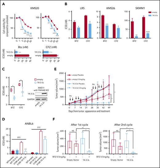 14-3-3ε modulation affects sensitivity to PIs in MM cells in vitro and in vivo. (A) Control and ectopically expressing 14-3-3ε KMS20 cells were treated with different concentrations of BTZ or CFZ. Cell viability was assessed by CTG after 24 hours of treatment and expressed as percentage change from untreated cells (top). IC50 analysis is also shown (bottom). Data represent mean ± SD from 3 experiments performed in triplicate. (B) Control and ectopically expressing 14-3-3ε LR5, KMS26, and SKMM1 cells were treated with different concentrations of BTZ or CFZ. IC50 is shown in the graph. Data represent mean ± SD from 3 experiments performed in triplicate. (C) YWHAE was knocked out in KMS11 with the CRISPR/Cas9 system, and then a single clone of KO cells was infected with either pLenti6-empty (empty) or pLenti6-FLAG-YWHAE OE plasmid (14-3-3ε). Expression of 14-3-3ε protein was evaluated by western blot. GAPDH was used as loading control (right). Infected cells were treated with different concentrations of BTZ or CFZ. Cell viability was assessed by CTG after 24 hours of treatment, and IC50 was calculated with GraphPad Prism 8 (left). (D) Control and ectopically expressing 14-3-3ε ANBL-6 WT and ANBL-6/V10R cells were treated with different concentrations of BTZ or CFZ. IC50 analysis is shown. Data represent mean ± SD from 3 experiments performed in triplicate. (E) Control and ectopically expressing 14-3-3ε KMS20 cells were injected subcutaneously in severe combined immunodeficiency mice. After detection of tumor, mice were treated either with placebo or 2 cycles of BTZ (0.5 mg/kg twice weekly for 2 weeks, followed by 2 weeks off). Tumor growth was evaluated weekly by caliper measurement and represented as tumor volume (millimeters cubed). (F) Comparison of tumor volume in control and treated mice after the first (left) and second (right) cycle of treatment, respectively. Data were analyzed using unpaired Student t tests: *P ≤ .05; **P ≤ .01; ***P ≤ .001; ****P ≤ .0001.
